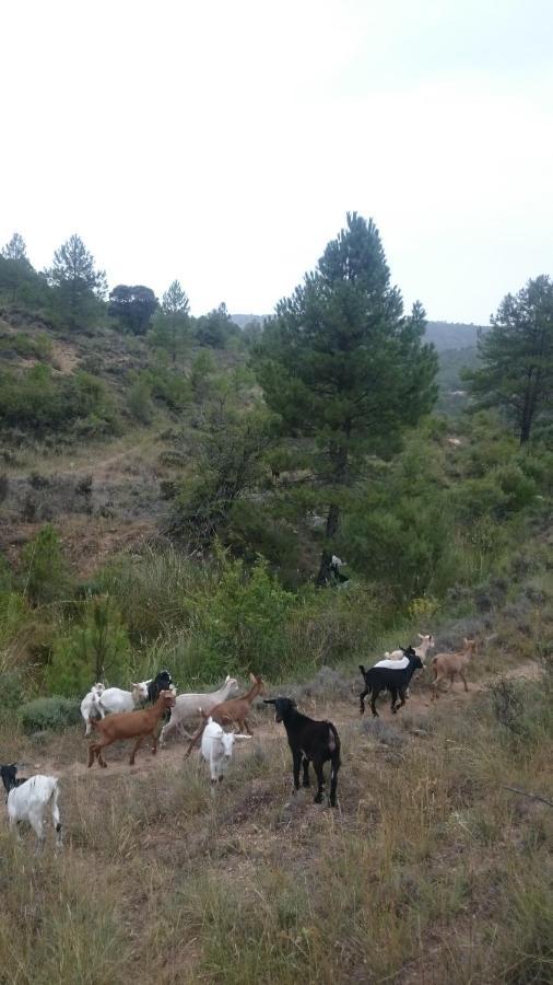 Ciudad Encantada Tio Daniel Valdecabras ภายนอก รูปภาพ